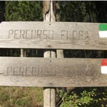 p199hf7vup1gft17u61o7g12gh1cce4