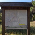 p199hf7vuq16lm13741jm51qh81ckp5