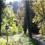 p199hf7vurjkdq3cm41igb182g8