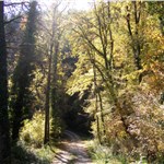 p199hf7vush3g1bb2177oo7fllf9